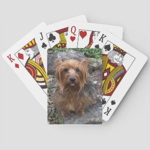 Create Your Own Dog Photo Custom Pet Playing Cards