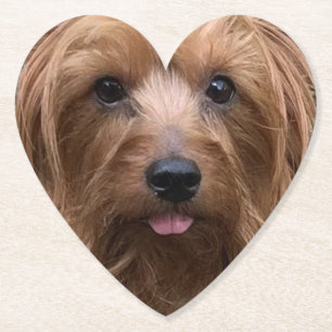 Create Your Own Dog Photo Custom Pet Puppy Paper Coaster