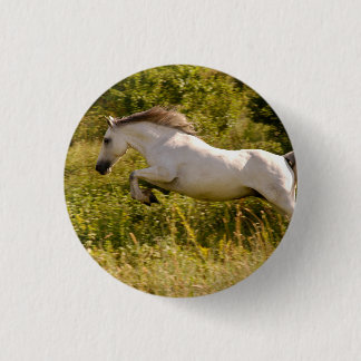 Create Your Own Equestrian Horse Photo Custom 3 Cm Round Badge