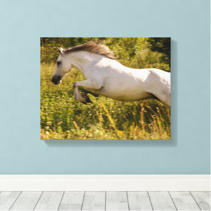 Create Your Own Equestrian Horse Photo Custom Canvas Print