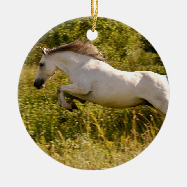 Create Your Own Equestrian Horse Photo Custom Ceramic Tree Decoration (Front)