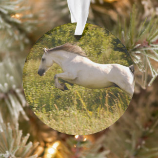 Create Your Own Equestrian Horse Photo Custom Ornament