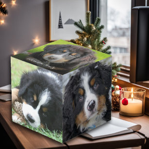 Create your own family pet photo collage monogram cube