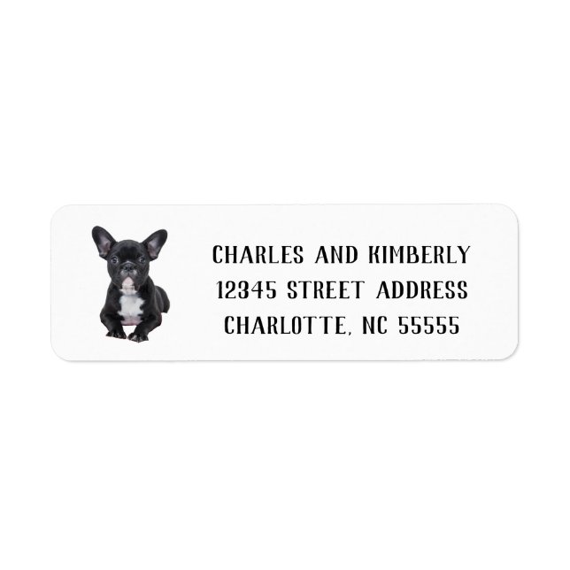 Create Your Own French Bulldog  (Front)