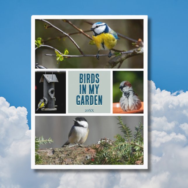 Create your own garden bird photo collection postcard (Creator Uploaded)