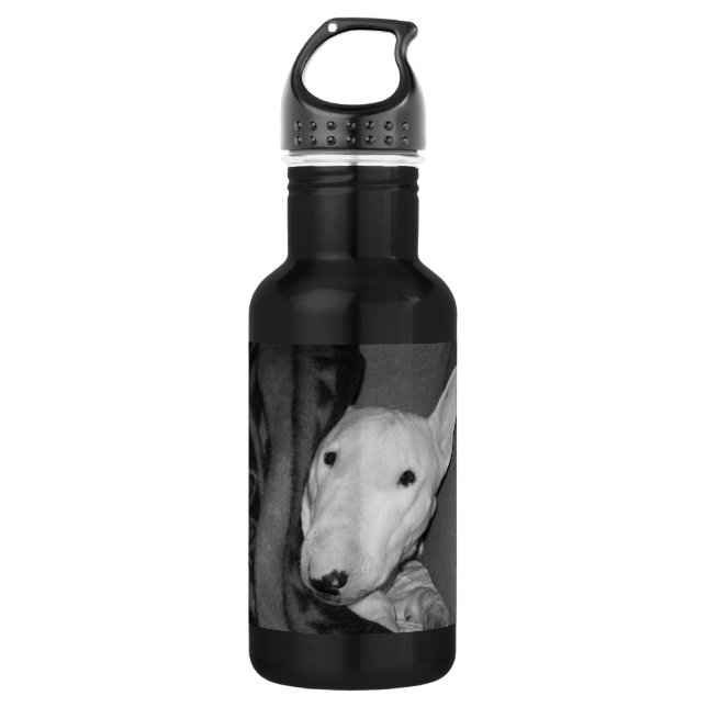 Create Your Own Keepsake-English BT-Snuggled-BW 532 Ml Water Bottle (Front)