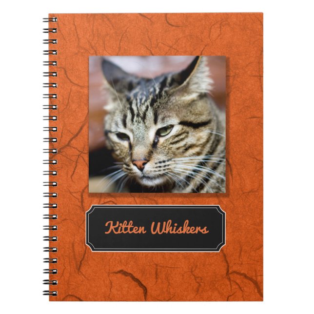 Create Your Own Kitten Whiskers Photo Notebook (Front)