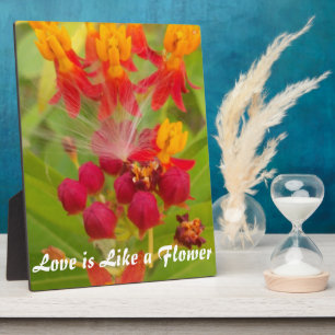 Create Your Own Live Life Large Customise Product Plaque