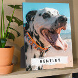Create Your Own Name Photo Plaque<br><div class="desc">Modern chic photo plaque featuring a frameless picture of your family or pet,  and a text template that is easy to personalise.</div>