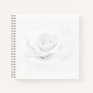 Create Your Own -  Notebook