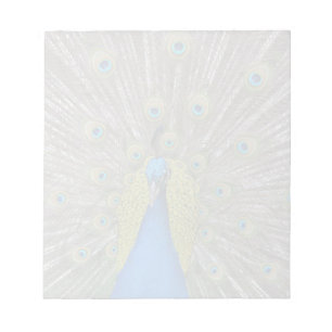 Create Your Own  Notepad