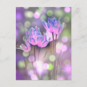 Create Your Own Personalised Bokeh Spring Flowers Postcard