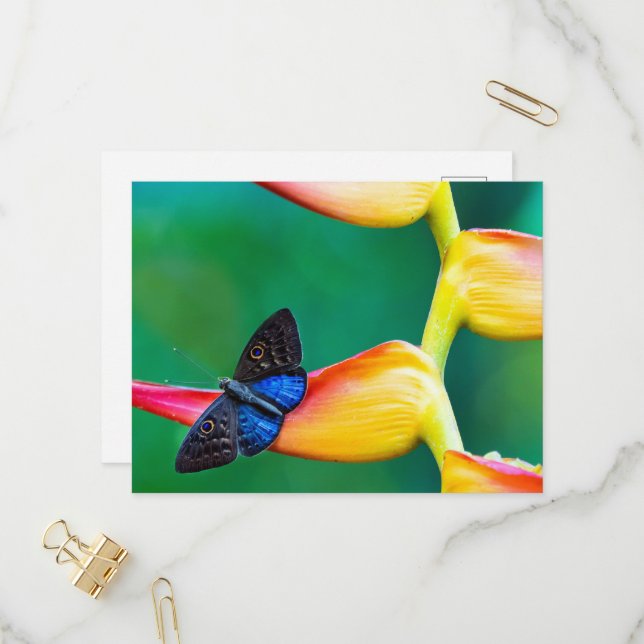 Create Your Own Personalised Custom Photo Template (Front/Back In Situ)