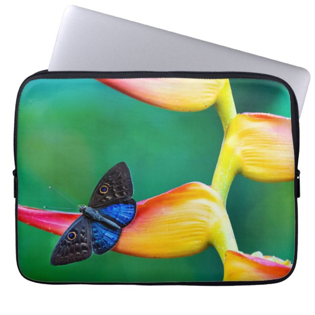 Create Your Own Personalised Custom Photo Template Laptop Sleeve (Front)