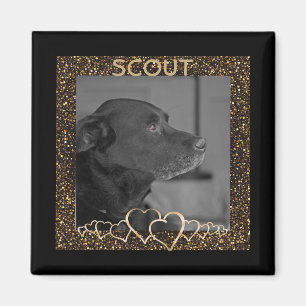 Create Your Own Personalised Pet Photo Keepsake Magnet