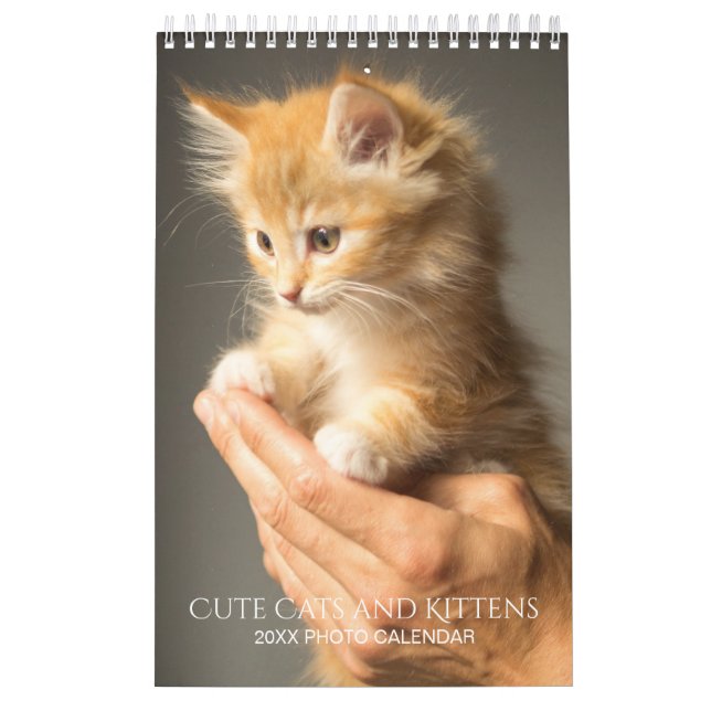 Create Your Own Pet Cat Photos 2025 Small Calendar (Cover)