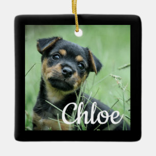 Create Your Own Pet Christmas Ornament  Dog Cat