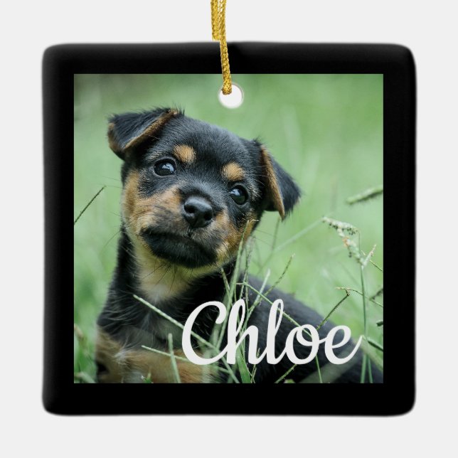 Create Your Own Pet Christmas Ornament  Dog Cat (Front)