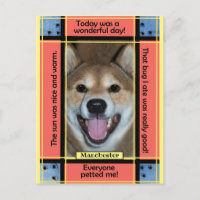 Create Your Own Pet Dog Cat Photo Funny Text