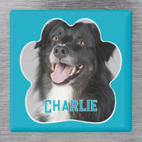 Create Your Own Pet Dog Photo