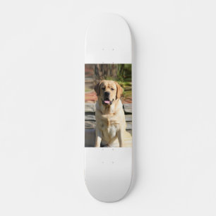 Create Your Own Pet Dog Photo Skateboard