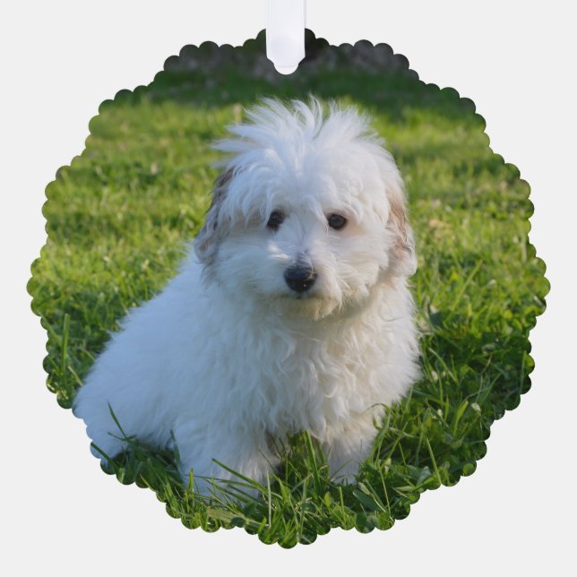 Create Your Own Pet dog Photo Tree Decoration Card (Front)