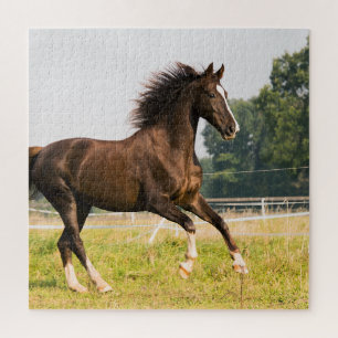 Create Your Own Pet Horse Photo Custom Picture Jigsaw Puzzle