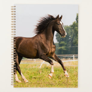 Create Your Own Pet Horse Photo Custom Picture Planner