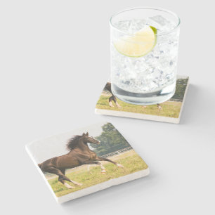 Create Your Own Pet Horse Photo Custom Picture Stone Coaster