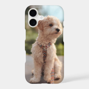 Create Your Own Pet Photo Custom Picture