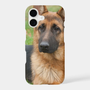 Create Your Own Pet Photo Custom Picture