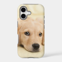 Create Your Own Pet Photo Custom Picture