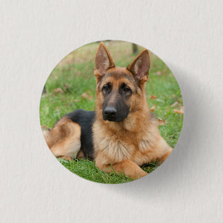 Create Your Own Pet Photo Custom Picture 3 Cm Round Badge