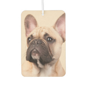 Create Your Own Pet Photo Custom Picture Car Air Freshener