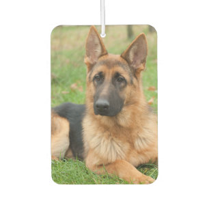 Create Your Own Pet Photo Custom Picture Car Air Freshener