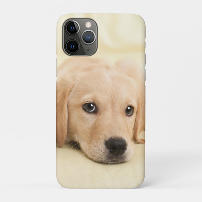 Create Your Own Pet Photo Custom Picture Case-Mate iPhone Case (Back)