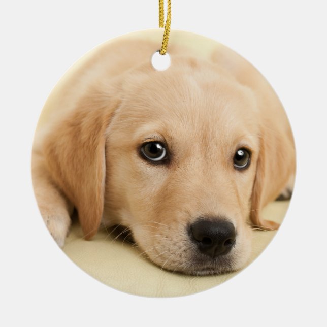 Create Your Own Pet Photo Custom Picture Ceramic Tree Decoration (Front)
