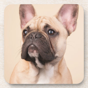 Create Your Own Pet Photo Custom Picture Coaster