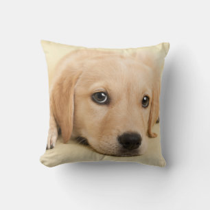 Create Your Own Pet Photo Custom Picture Cushion