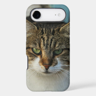 Create Your Own Pet Photo Custom Picture Gift