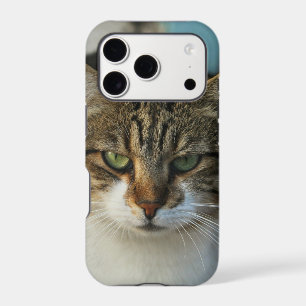 Create Your Own Pet Photo Custom Picture Gift