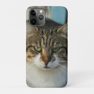 Create Your Own Pet Photo Custom Picture Gift Case-Mate iPhone Case