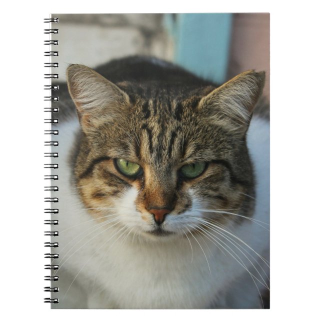 Create Your Own Pet Photo Custom Picture Gift Notebook (Front)
