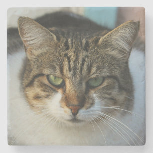 Create Your Own Pet Photo Custom Picture Gift Stone Coaster
