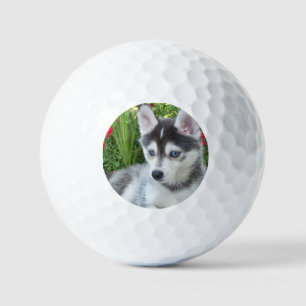 Create Your Own Pet Photo Custom Picture Golf Balls