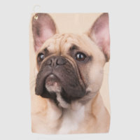 Create Your Own Pet Photo Custom Picture