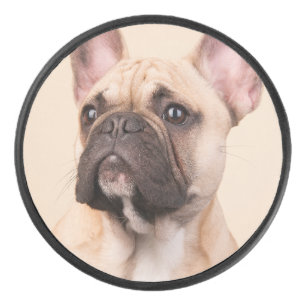 Create Your Own Pet Photo Custom Picture Hockey Puck