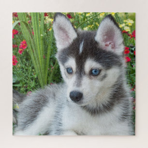 Create Your Own Pet Photo Custom Picture Jigsaw Puzzle