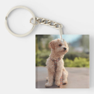 Create Your Own Pet Photo Custom Picture Key Ring