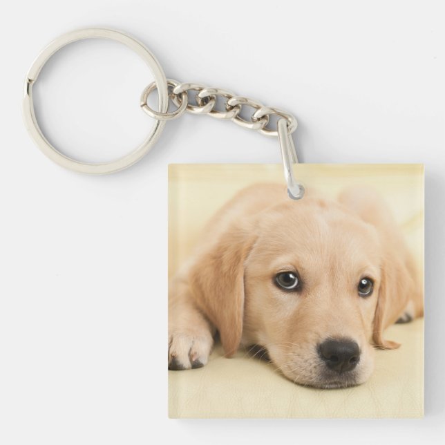 Create Your Own Pet Photo Custom Picture Key Ring (Front)